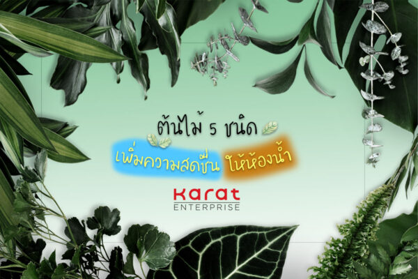 ต้นไม้ 5 ชนิด เพิ่มความสดชื่นในห้องน้ำ