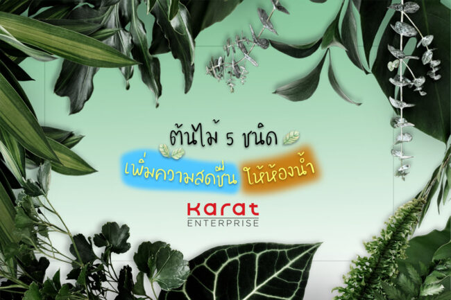 ต้นไม้ 5 ชนิด เพิ่มความสดชื่นในห้องน้ำ