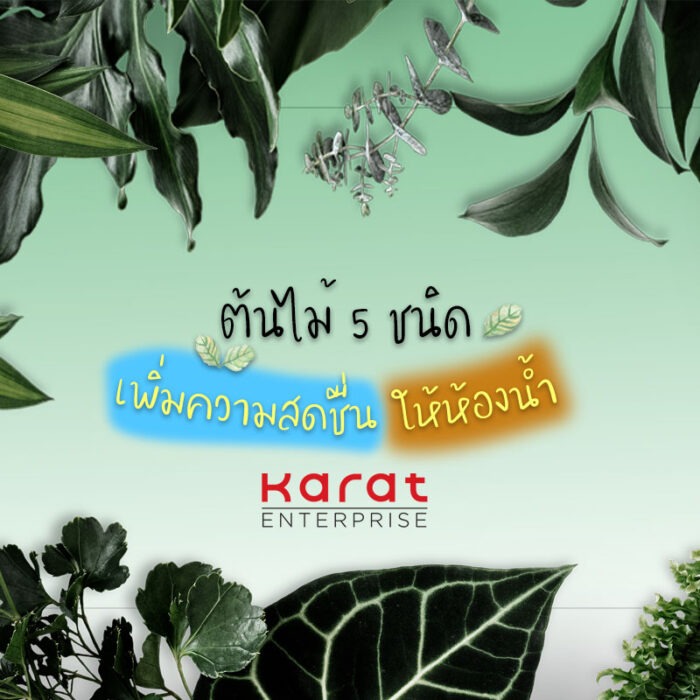 ต้นไม้ 5 ชนิด เพิ่มความสดชื่นในห้องน้ำ