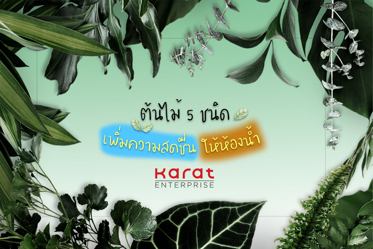 ต้นไม้ 5 ชนิด เพิ่มความสดชื่นในห้องน้ำ